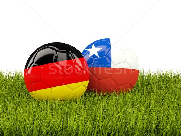 2 フラグ 緑の草 3次元の図 サッカー 緑 ストックフォト © MikhailMishchenko