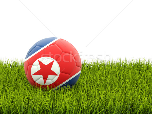 Football with flag of korea north Stock photo © MikhailMishchenko