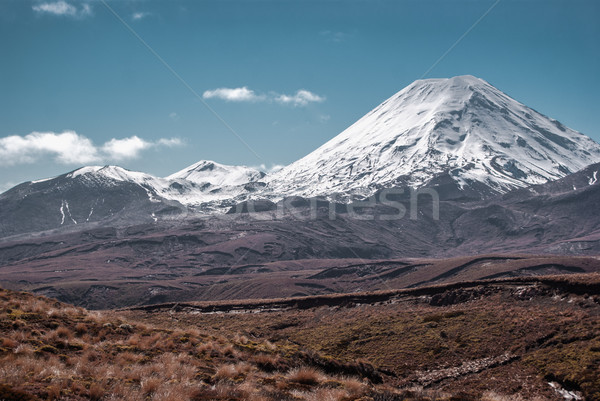 Alpine landschap park wandelen New Zealand noorden Stockfoto © MikhailMishchenko