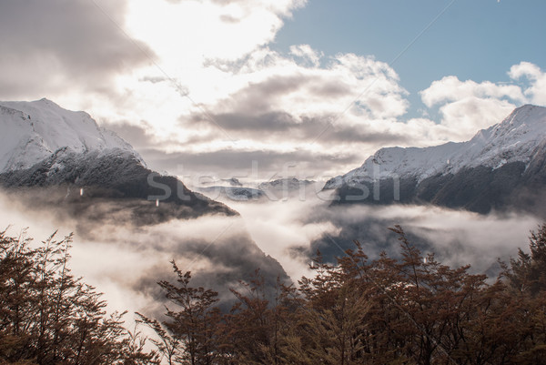 高山 風景 公園 ハイキング 新しい ニュージーランド ストックフォト © MikhailMishchenko