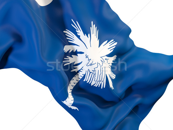 South Carolina vlag Verenigde Staten lokaal vlaggen Stockfoto © MikhailMishchenko