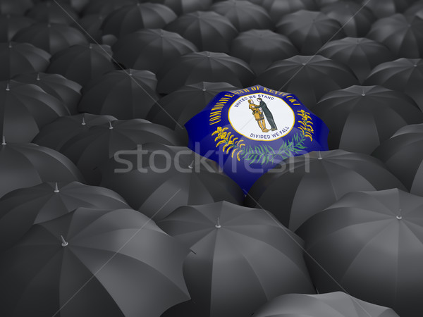 Kentucky banderą parasol Stany Zjednoczone miejscowy flagi Zdjęcia stock © MikhailMishchenko
