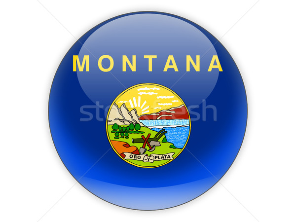 Flag of montana, US state icon Stock photo © MikhailMishchenko