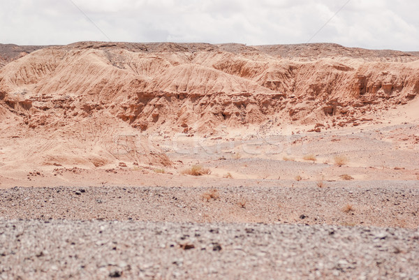 Stock foto: Rot · Klippen · Canyon · Wüste · Süden · Mongolei