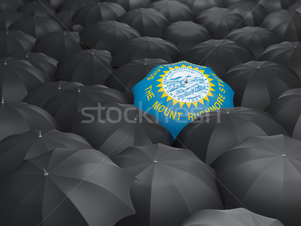 south dakota state flag on umbrella. United states local flags Stock photo © MikhailMishchenko