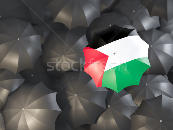 Umbrella with flag of palestinian territory Stock photo © MikhailMishchenko
