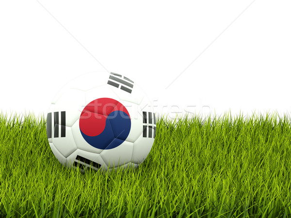 Football with flag of korea south Stock photo © MikhailMishchenko
