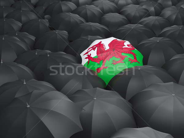 Foto stock: Paraguas · bandera · gales · negro · paraguas · lluvia