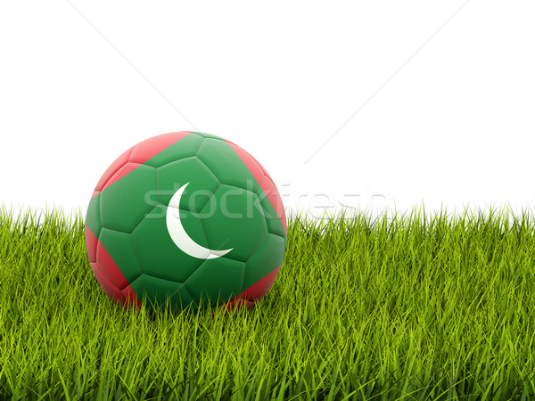 Football with flag of maldives Stock photo © MikhailMishchenko