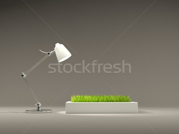 Stock photo: Grass with lamp