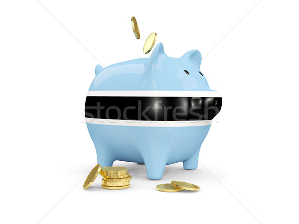 Gordura piggy bank Botswana dinheiro isolado branco Foto stock © MikhailMishchenko