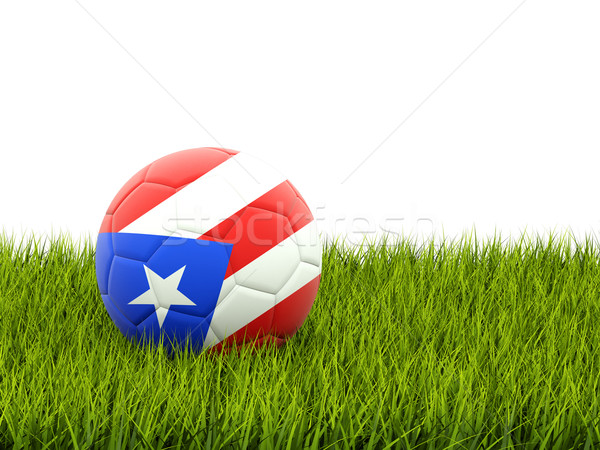 Fotbal pavilion Puerto Rico iarba verde fotbal câmp Imagine de stoc © MikhailMishchenko
