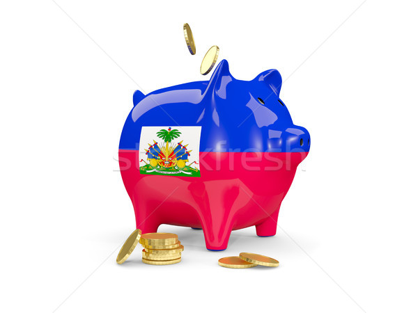 Fat piggy bank with fag of haiti Stock photo © MikhailMishchenko