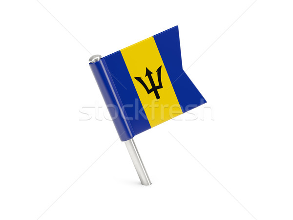 Flagge Pin Barbados isoliert weiß Welt Stock foto © MikhailMishchenko