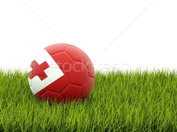 Football with flag of tonga Stock photo © MikhailMishchenko