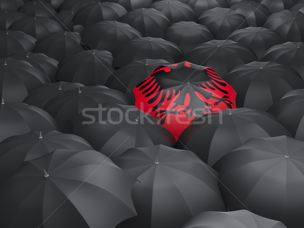 зонтик флаг Албания черный дождь Сток-фото © MikhailMishchenko