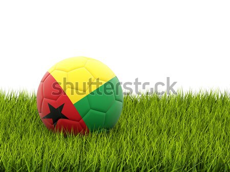 Fútbol bandera Lituania hierba verde fútbol campo Foto stock © MikhailMishchenko