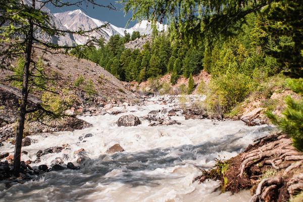 Alpine scenery at Altai Mountains Stock photo © MikhailMishchenko