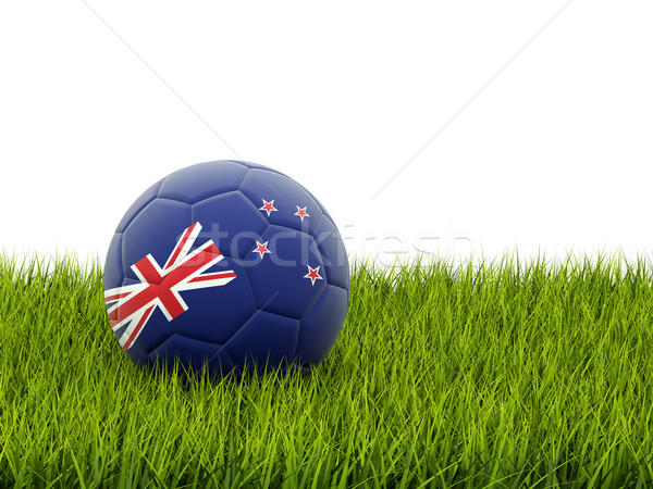Foto stock: Fútbol · bandera · Nueva · Zelandia · hierba · verde · fútbol · campo