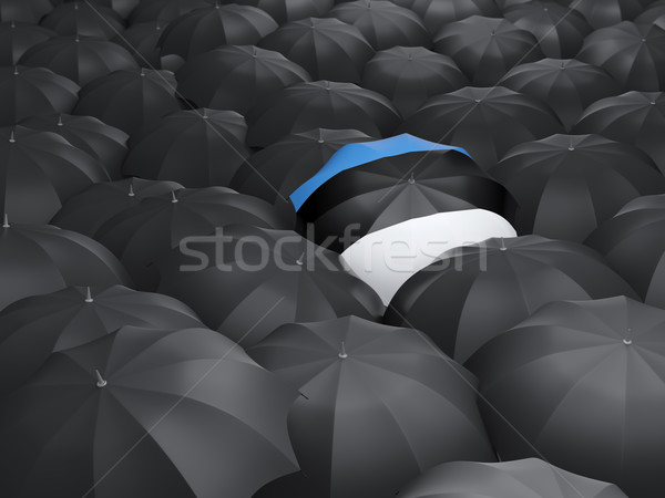 Dach Flagge Estland schwarz Regenschirme Regen Stock foto © MikhailMishchenko