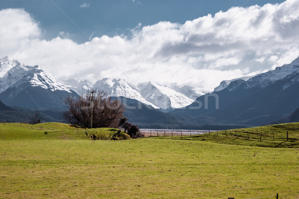 Alpine manzara park yürüyüş yeni Yeni Zelanda Stok fotoğraf © MikhailMishchenko