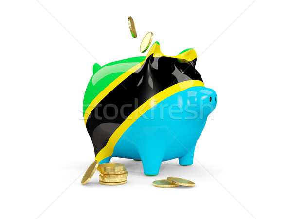 Fat piggy bank with fag of tanzania Stock photo © MikhailMishchenko