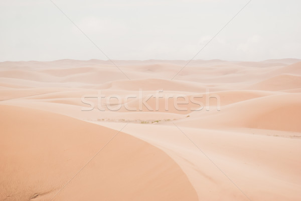 Stock photo: Sand dunes in Gobi desert