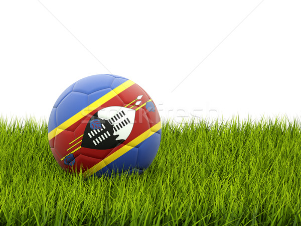 Futebol bandeira Suazilândia grama verde futebol campo Foto stock © MikhailMishchenko