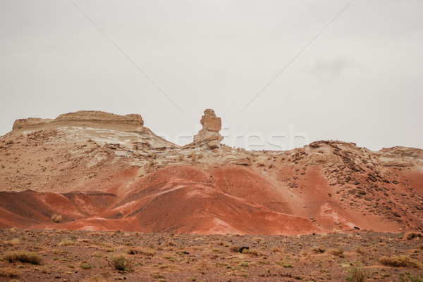 Stock photo: Red cliffs of Khermen Tsav canyon. Gobi deser