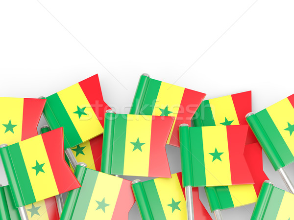 Zászló tő Szenegál izolált fehér háttér Stock fotó © MikhailMishchenko