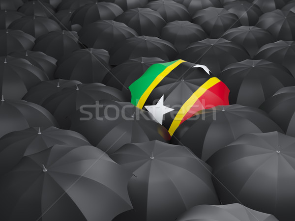 Umbrella with flag of saint kitts and nevis Stock photo © MikhailMishchenko