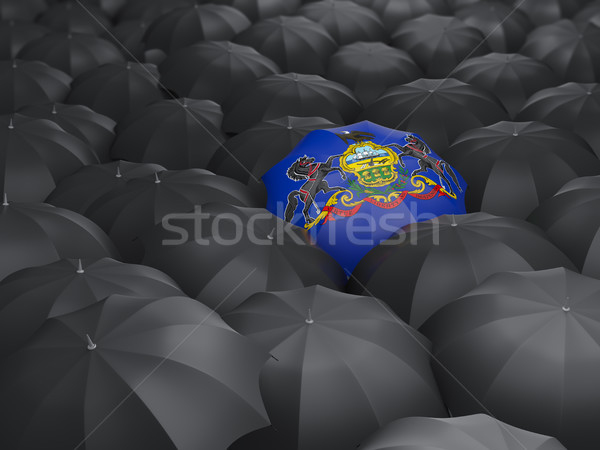 pennsylvania state flag on umbrella. United states local flags Stock photo © MikhailMishchenko