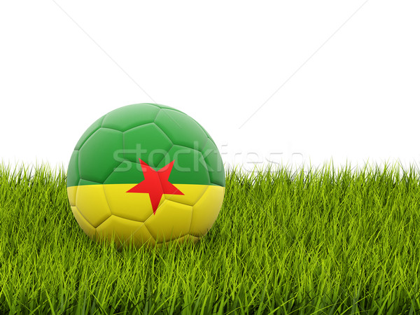 Futball zászló francia zöld fű futball mező Stock fotó © MikhailMishchenko