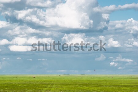 Clouds in blue skies and green grass beneath Stock photo © MikhailMishchenko