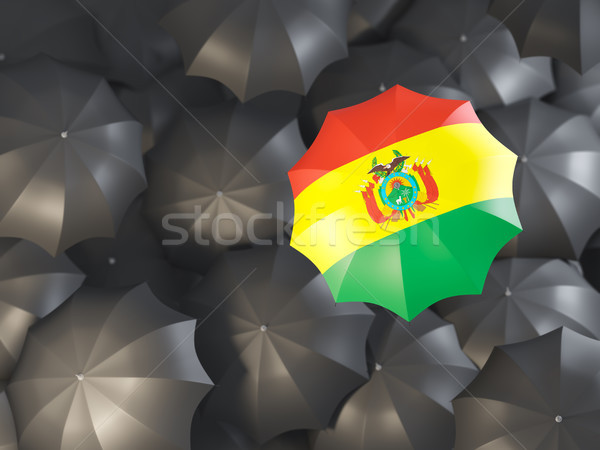 şemsiye bayrak Bolivya üst siyah Stok fotoğraf © MikhailMishchenko