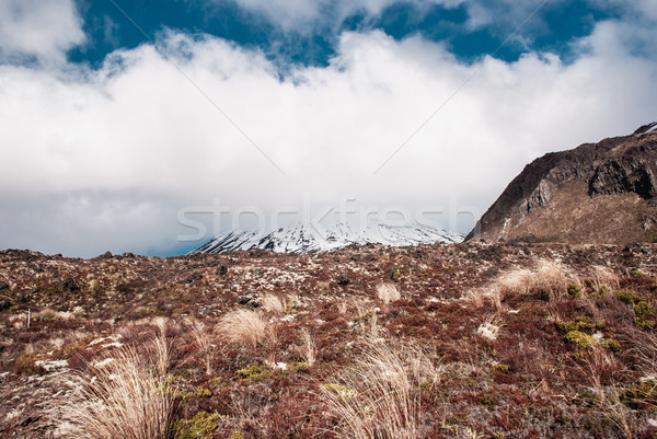 Alpine manzara park yürüyüş Yeni Zelanda kuzey Stok fotoğraf © MikhailMishchenko