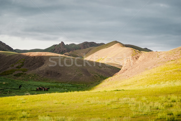 Plato güneybatı doğu çöl seyahat ülke Stok fotoğraf © MikhailMishchenko