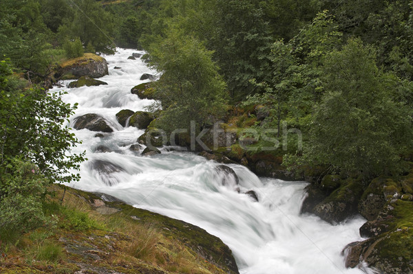 Berg stream snel lopen boom voorjaar Stockfoto © MikLav