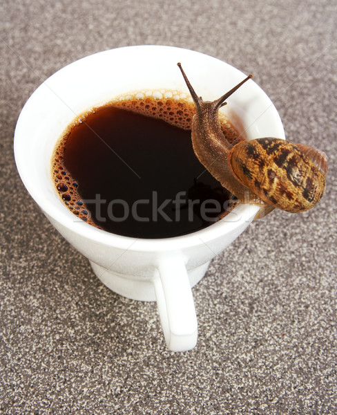 Assoiffé escargot séance haut tasse de café café [[stock_photo]] © MikLav