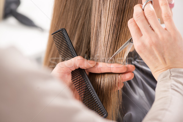 Stok fotoğraf: Saç · kuaför · kesmek · kadın