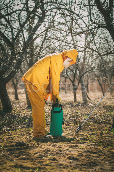 Hombre maduro protección traje árbol productos químicos Foto stock © MilanMarkovic78