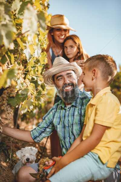 We Love The Plant Of Our Work  Stock photo © MilanMarkovic78