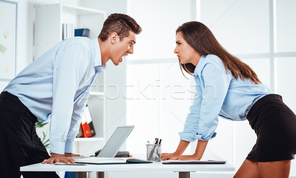 Stock photo: Business Partners