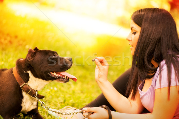 Girl And Dog Stock photo © MilanMarkovic78