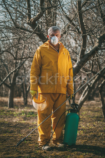 Hombre maduro máscara árbol productos químicos invierno Foto stock © MilanMarkovic78