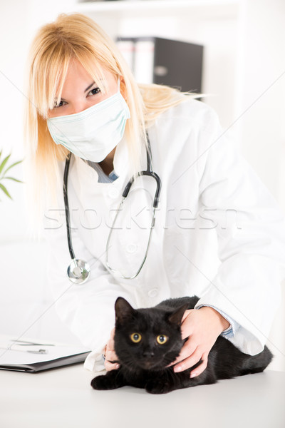 Medicul veterinar pisica domestica negru femei medical Imagine de stoc © MilanMarkovic78