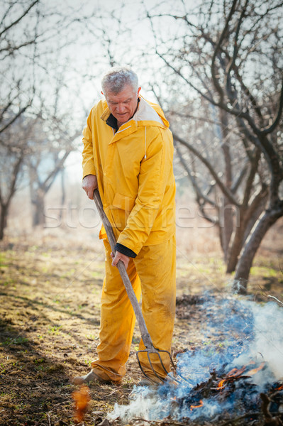 очистки грабли зрелый человек листьев огня Сток-фото © MilanMarkovic78
