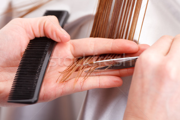 Cutting Hair Stock photo © MilanMarkovic78