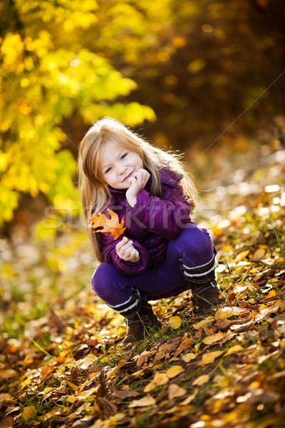 Autumn In The Park Stock photo © MilanMarkovic78