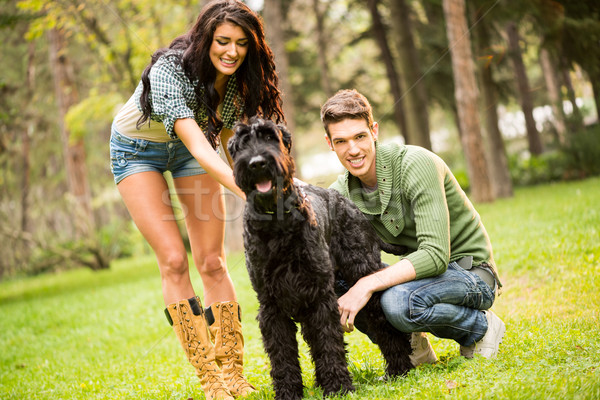Young Couple With Schnauzer Stock photo © MilanMarkovic78